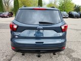 Used 2019 Ford Escape Titanium image 4