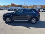Used 2020 Cadillac XT4 Premium Luxury image 3