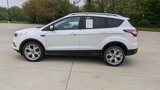Used 2018 Ford Escape Titanium image 6