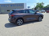 Used 2023 Ford Escape ST-Line w/ Tech Pack #1 image 3