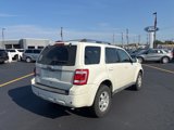 Used 2010 Ford Escape Limited image 5
