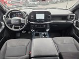 Certified 2023 Ford F150 XL w/ STX Appearance Package image 2