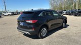 Certified 2022 Ford Escape SE image 3