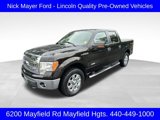 Used 2013 Ford F150 XLT w/ Luxury Equipment Group image 3