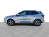Used 2024 Ford Escape ST-Line w/ Cold Weather Package image 5