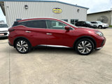 Used 2019 Nissan Murano SL w/ SL Technology Package image 6