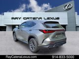 Used 2022 Lexus NX 350 AWD w/ Premium Package image 4