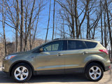 Used 2014 Ford Escape SE w/ Equipment Group 201A image 3
