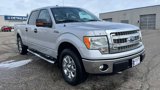 Used 2014 Ford F150 XLT w/ Equipment Group 302A Luxury image 2