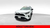 Used 2019 Toyota RAV4 LE image 2