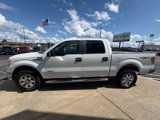 Used 2014 Ford F150 XLT w/ XLT Chrome Package image 3