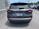Used 2023 Ford Escape ST-Line w/ Tech Pack #1 image 4