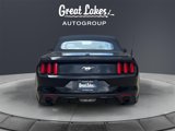 Used 2015 Ford Mustang Premium w/ Equipment Group 201A image 4