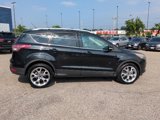 Used 2014 Ford Escape Titanium w/ Equipment Group 401A image 6