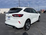 New 2024 Ford Escape ST-Line w/ Tech Pack #1 image 5