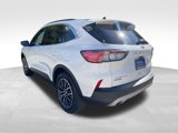 Certified 2022 Ford Escape Titanium w/ Titanium Premium Package image 5