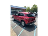 Certified 2020 Ford Escape SE image 2