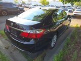 Used 2015 Honda Accord EX-L image 3