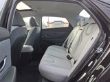 New 2025 Hyundai Elantra Limited image 5