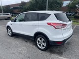Used 2014 Ford Escape SE image 3