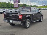 Used 2019 Ford F150 XLT w/ Equipment Group 302A Luxury image 5