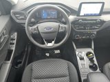 New 2025 Ford Escape Active w/ Cold Weather Package image 5