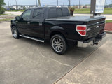 Used 2014 Ford F150 XLT w/ Equipment Group 302A Luxury image 2