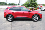 Used 2022 Ford Escape SE w/ Convenience Package image 6