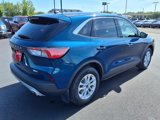 Used 2020 Ford Escape SE image 5