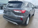 Used 2022 Ford Escape SE w/ Cold Weather Package image 6