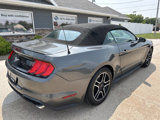 Used 2018 Ford Mustang Premium image 4