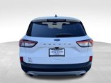 Used 2022 Ford Escape SE w/ Convenience Package image 6