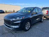 Used 2020 Ford Escape SE image 3