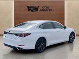 Used 2019 Lexus ES 350 F Sport w/ Accessory Package 2 image 5