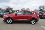 Used 2022 Ford Escape SE image 4