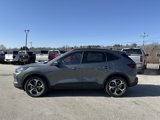 New 2025 Ford Escape ST-Line Elite w/ Tech Pack #2 image 5