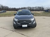 Used 2022 Ford EcoSport SE image 2