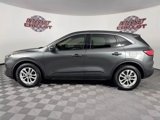 Used 2020 Ford Escape SE image 4