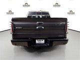 Used 2014 Ford F150 FX4 w/ Equipment Group 402A Luxury image 6
