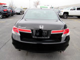 Used 2012 Honda Accord EX-L image 4