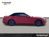 Used 2020 Ford Mustang Premium image 4