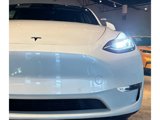 Used 2020 Tesla Model Y Long Range image 5