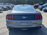 Used 2023 Ford Mustang Coupe image 6