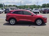Used 2021 Ford Escape SE image 6