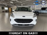 Used 2020 Ford Escape SE image 3