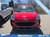 Used 2020 Ford Escape SE image 2