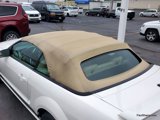 Used 2007 Ford Mustang GT Premium image 5