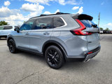Used 2024 Honda CR-V Sport-L image 3