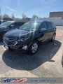 Used 2020 Chevrolet Equinox Premier image 2