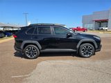 Used 2019 Toyota RAV4 Adventure image 2